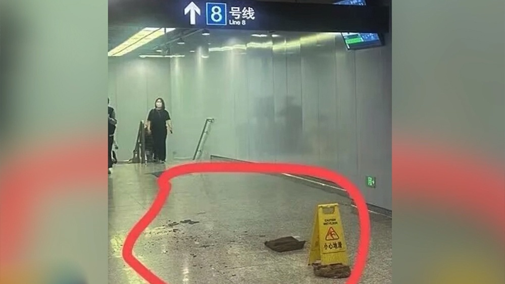 中国人民的好朋友为了友谊跨越山海