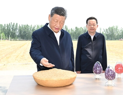 欧美成人午夜大片在线观看