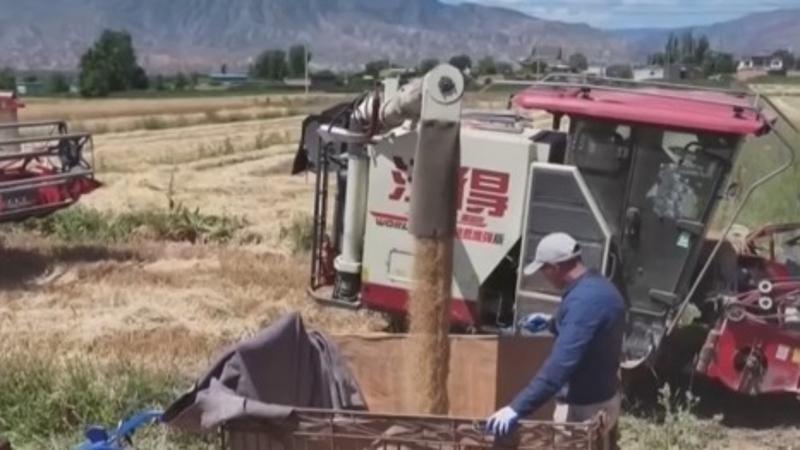 每日经济新闻