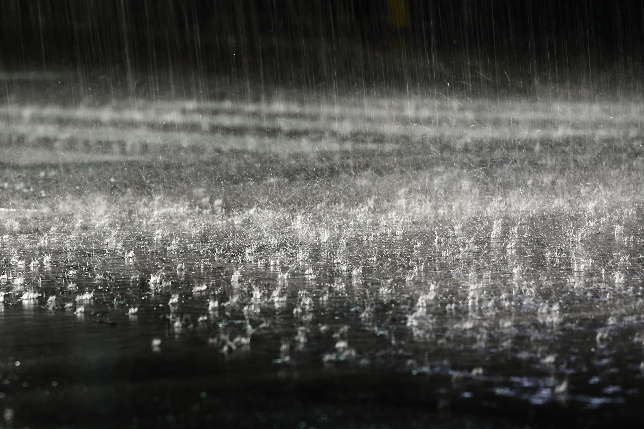 国考岗位表