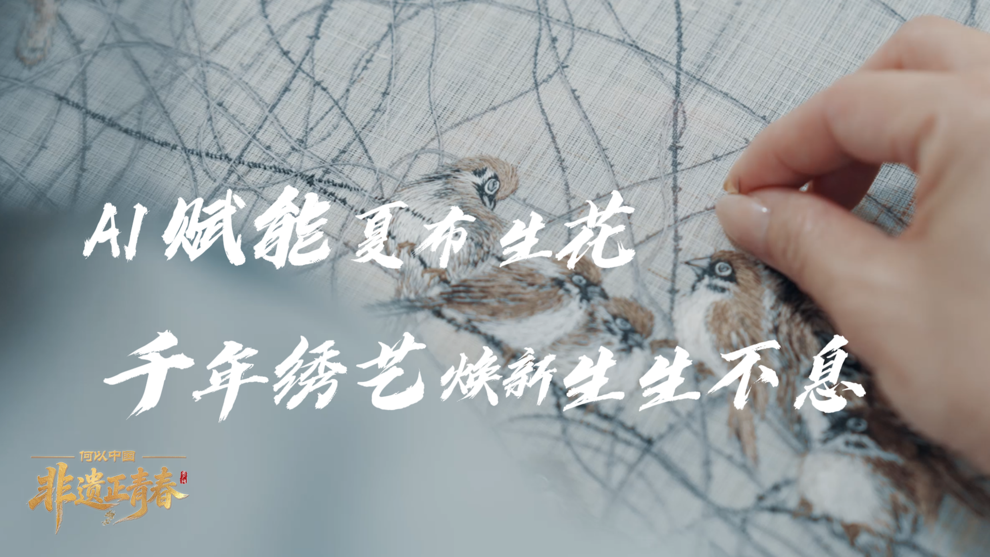 谢娜还是太超前了