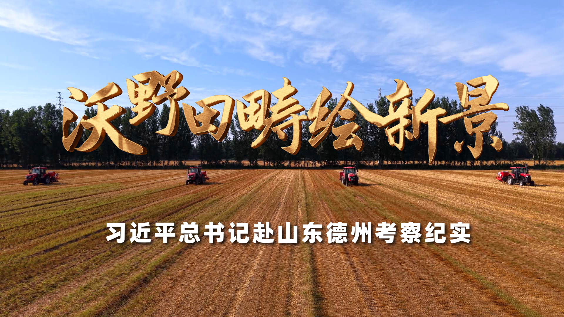 小胖又在指导樊振东