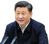 收藏！2026暑期档电影片单来了