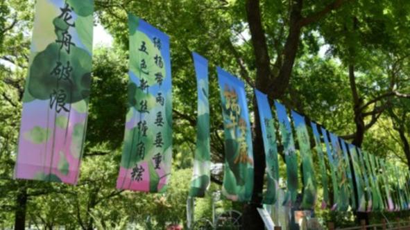 久久国产亚洲欧美91动漫