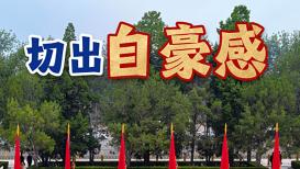 炒股天亏万程序员回应