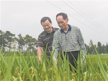 外逃副市长李传良违法所得被申请没收