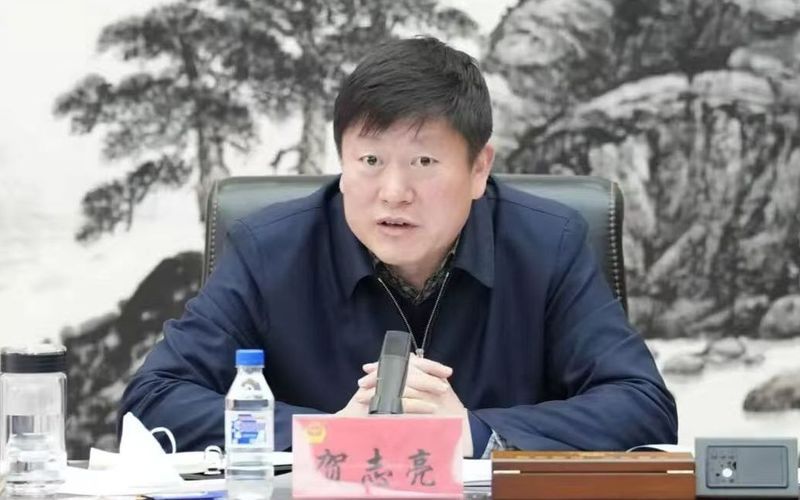 小胖又在指导樊振东