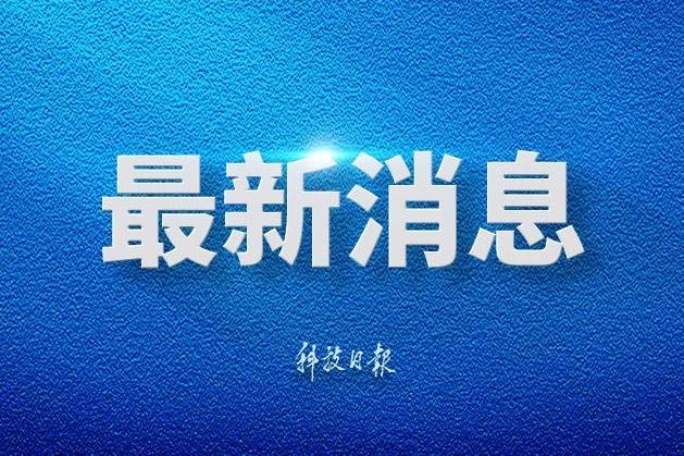 杨幂治好了我的犯错羞耻症