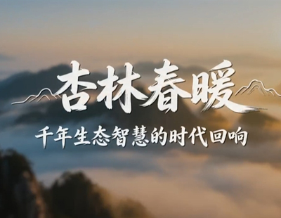郑钦文武网亚军