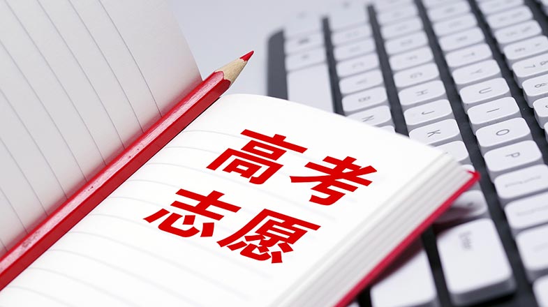联合利剑演习
