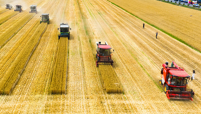 李佳琦直播